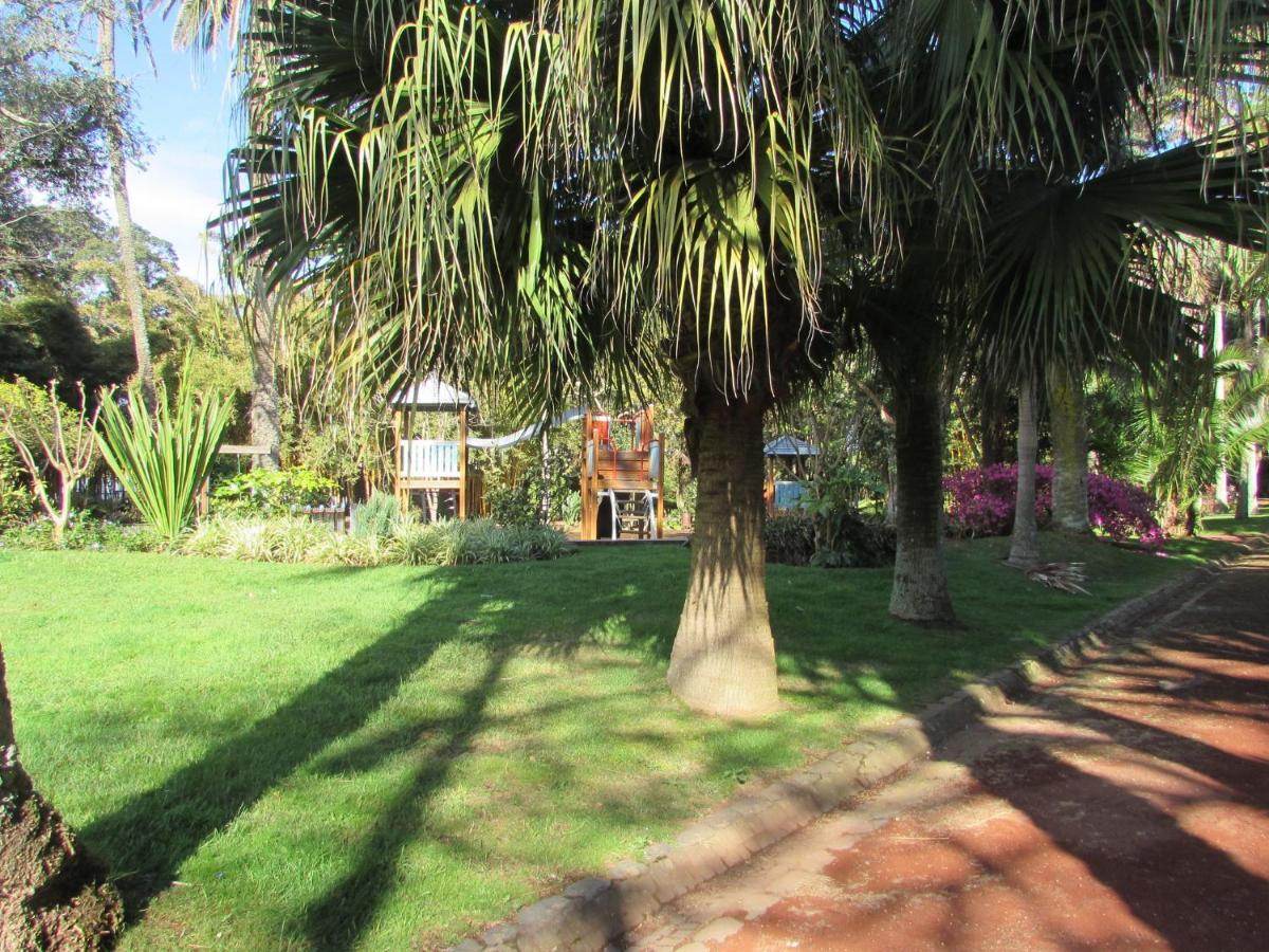 Cozy Central Ponta Delgada Dış mekan fotoğraf